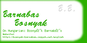 barnabas bosnyak business card